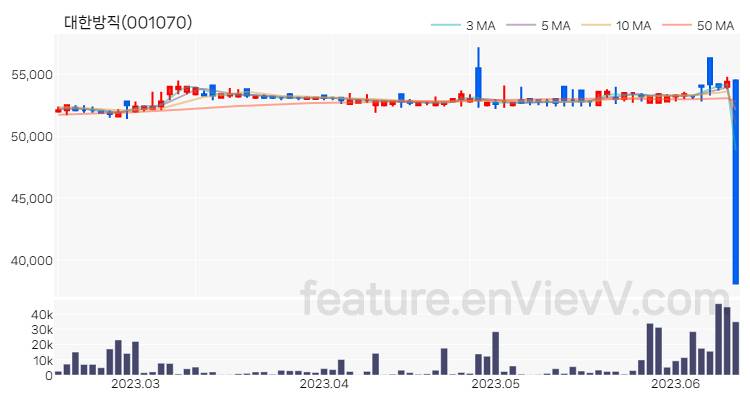 [특징주] 대한방직 주가와 차트 분석 2023.06.14