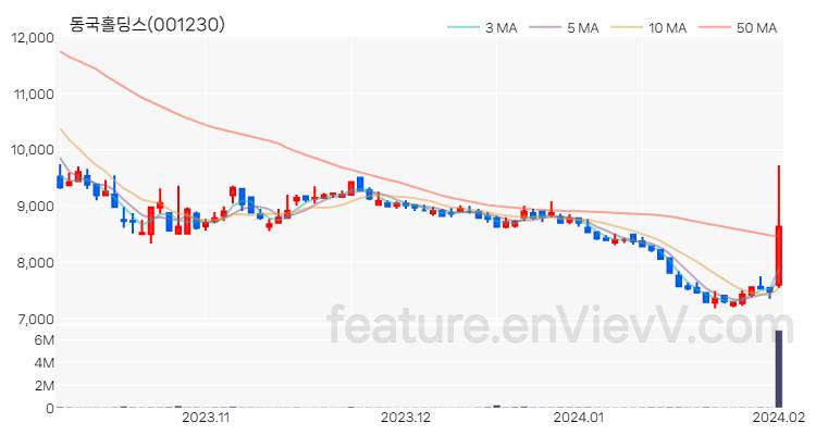 [특징주 분석] 동국홀딩스 주가 차트 (2024.02.01)