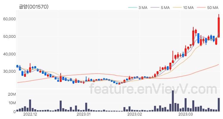 [특징주] 금양 주가와 차트 분석 2023.03.21