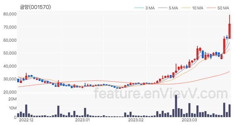 [특징주] 금양 주가와 차트 분석 2023.03.23