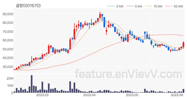 [특징주] 금양 주가와 차트 분석 2023.06.08