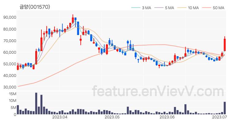 [특징주] 금양 주가와 차트 분석 2023.07.05