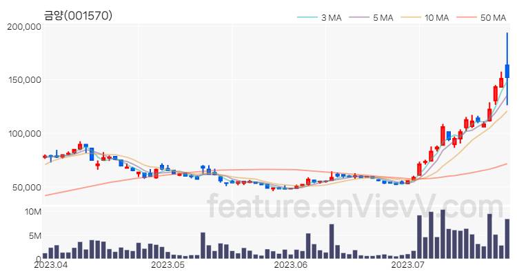 [특징주] 금양 주가와 차트 분석 2023.07.26