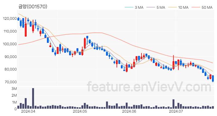 [특징주] 금양 주가와 차트 분석 2024.07.22