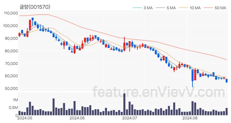 [특징주] 금양 주가와 차트 분석 2024.08.23