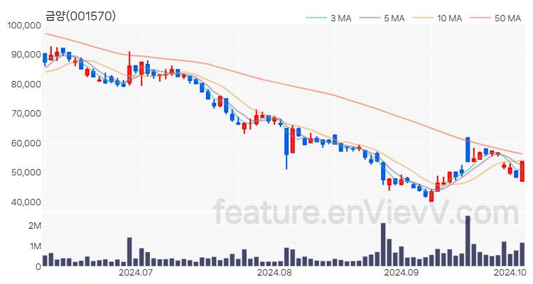 [특징주] 금양 주가와 차트 분석 2024.10.07