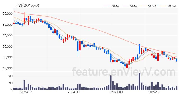 [특징주] 금양 주가와 차트 분석 2024.10.21