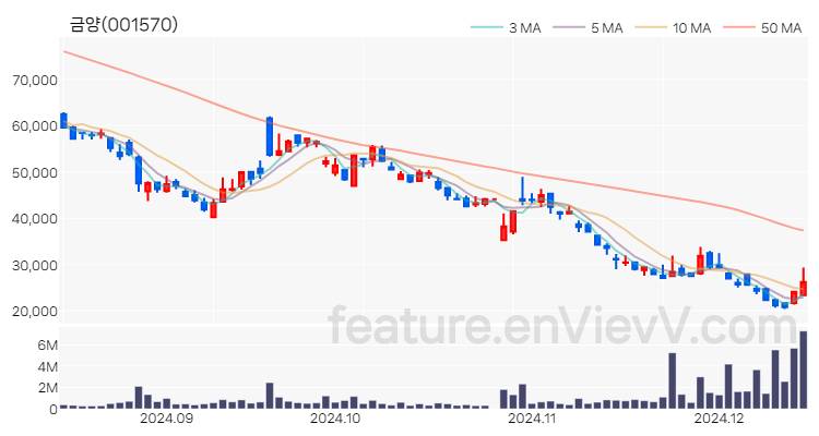 [특징주] 금양 주가와 차트 분석 2024.12.13
