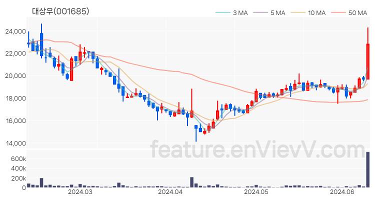 [특징주] 대상우 주가와 차트 분석 2024.06.12