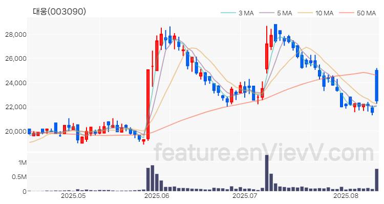 [특징주 분석] 대웅 주가 차트 (2025.08.13)