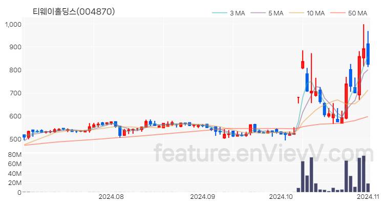 [특징주] 티웨이홀딩스 주가와 차트 분석 2024.11.01