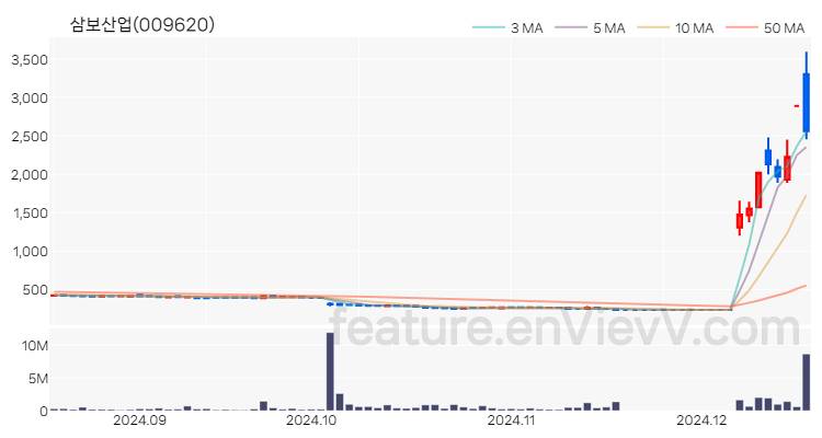 [특징주] 삼보산업 주가와 차트 분석 2024.12.17