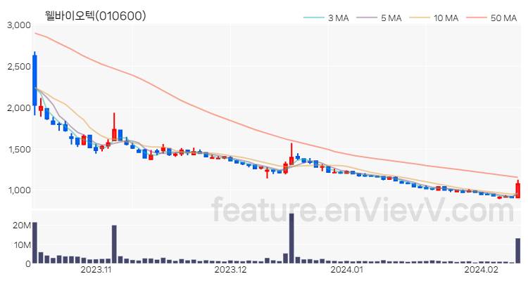 [특징주 분석] 웰바이오텍 주가 차트 (2024.02.13)