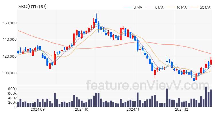 [특징주] SKC 주가와 차트 분석 2024.12.18