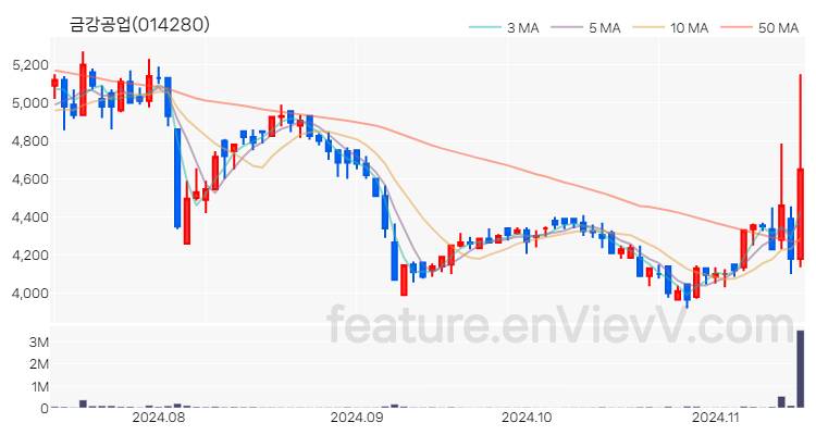 [특징주] 금강공업 주가와 차트 분석 2024.11.14