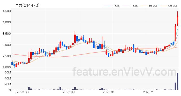 [특징주 분석] 부방 주가 차트 (2023.11.21)
