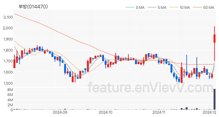 [특징주] 부방 주가와 차트 분석 2024.12.04