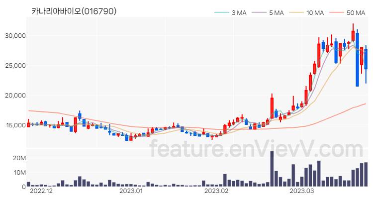 [특징주 분석] 카나리아바이오 주가 차트 (2023.03.23)