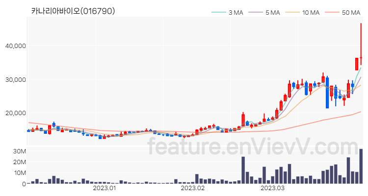 [특징주 분석] 카나리아바이오 주가 차트 (2023.03.31)