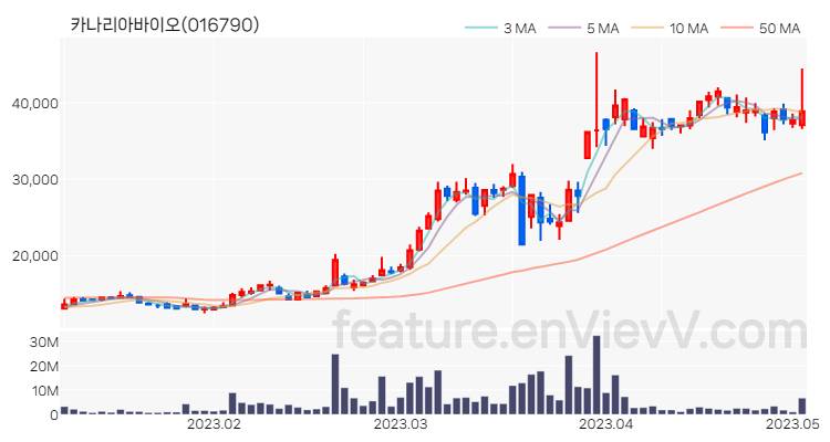 [특징주] 카나리아바이오 주가와 차트 분석 2023.05.03