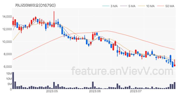 [특징주] 카나리아바이오 주가와 차트 분석 2023.07.28