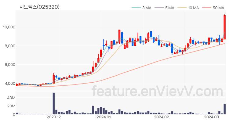 [특징주 분석] 시노펙스 주가 차트 (2024.03.11)