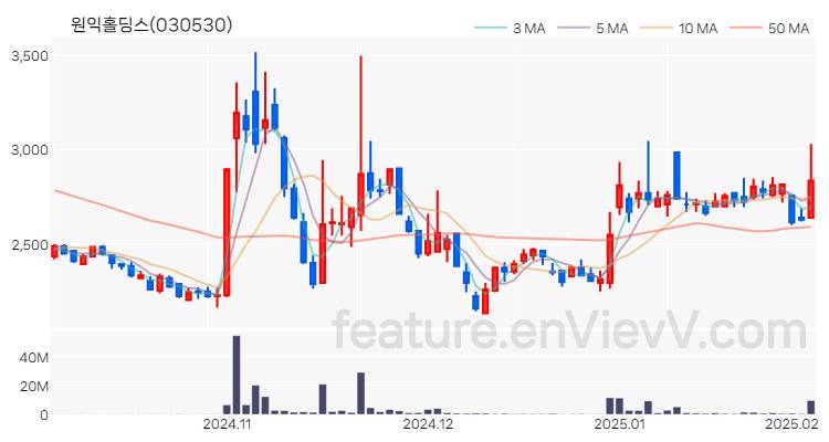 [특징주] 원익홀딩스 주가와 차트 분석 2025.02.05