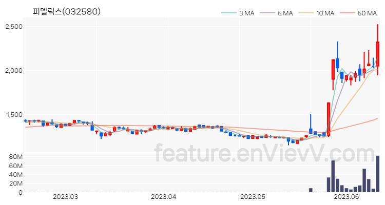 [특징주] 피델릭스 주가와 차트 분석 2023.06.14