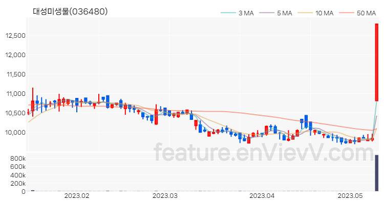 [특징주 분석] 대성미생물 주가 차트 (2023.05.11)