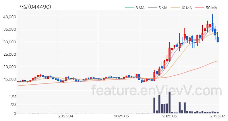 [특징주 분석] 태웅 주가 차트 (2025.07.01)