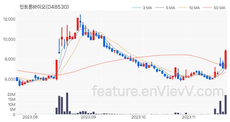 [특징주] 인트론바이오 주가와 차트 분석 2023.11.21