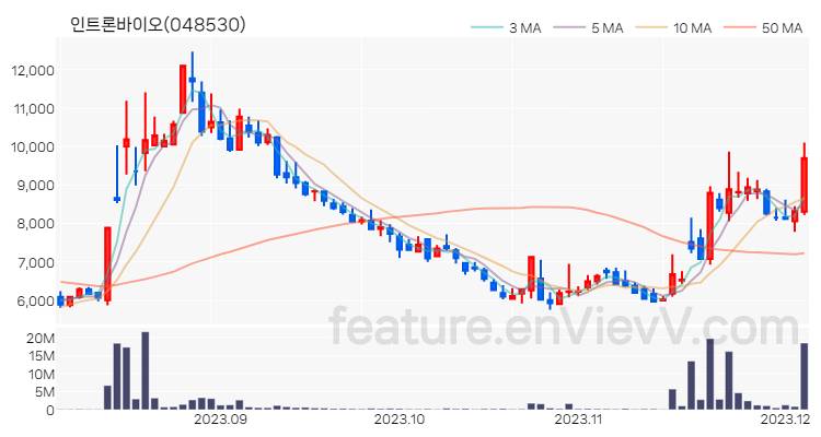 [특징주] 인트론바이오 주가와 차트 분석 2023.12.05