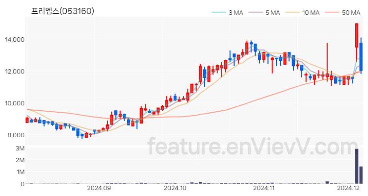 [특징주] 프리엠스 주가와 차트 분석 2024.12.05