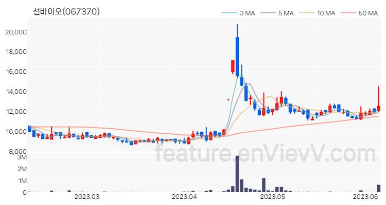 [특징주] 선바이오 주가와 차트 분석 2023.06.08