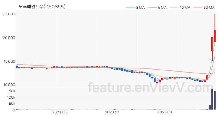 [특징주 분석] 노루페인트우 주가 차트 (2023.08.30)