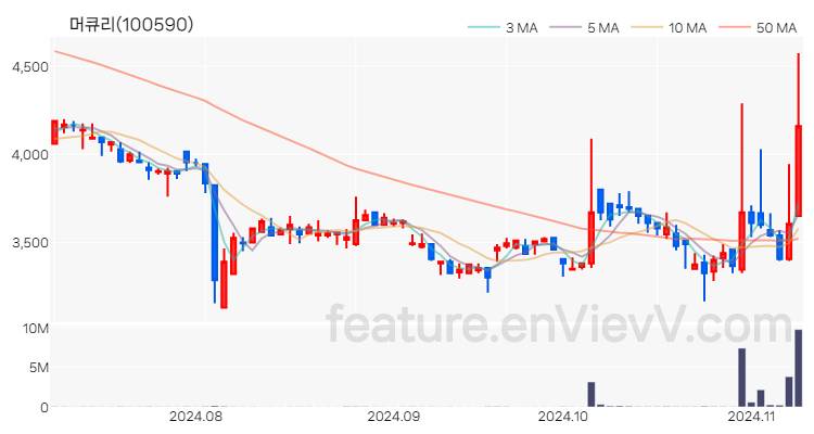 [특징주] 머큐리 주가와 차트 분석 2024.11.08