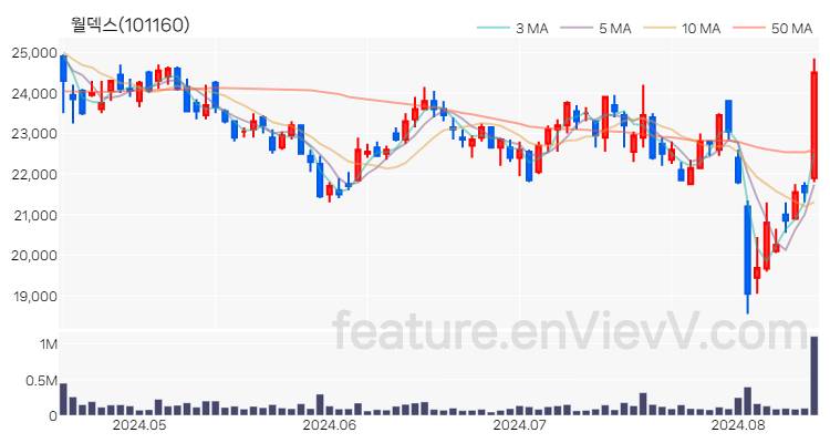 [특징주 분석] 월덱스 주가 차트 (2024.08.14)