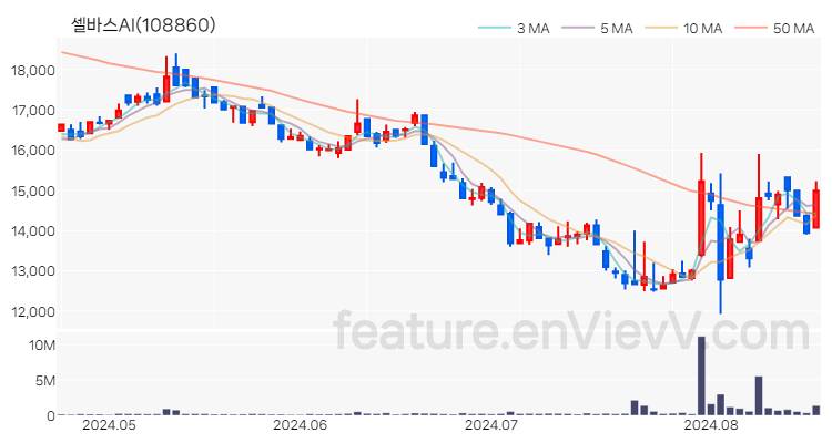 [특징주 분석] 셀바스AI 주가 차트 (2024.08.20)