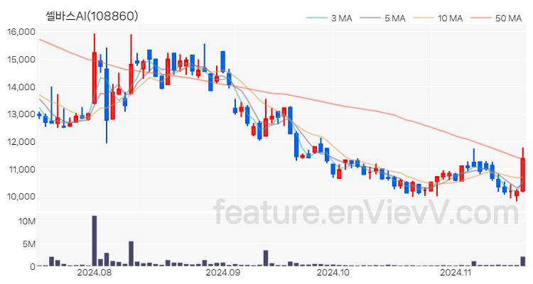 [특징주] 셀바스AI 주가와 차트 분석 2024.11.18