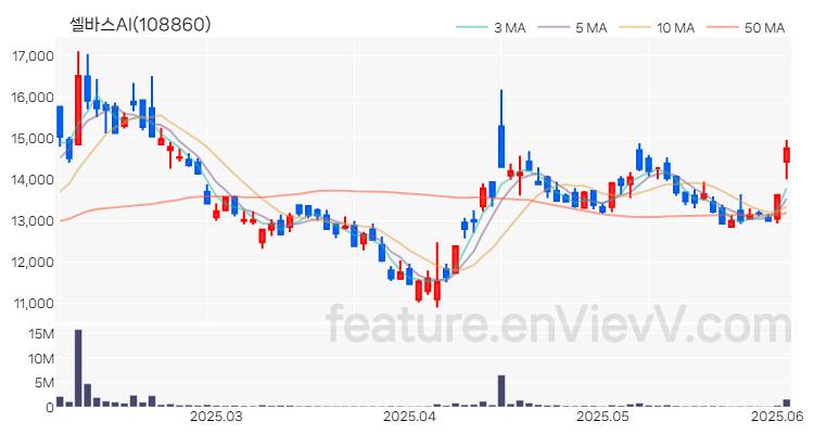 [특징주 분석] 셀바스AI 주가 차트 (2025.06.04)
