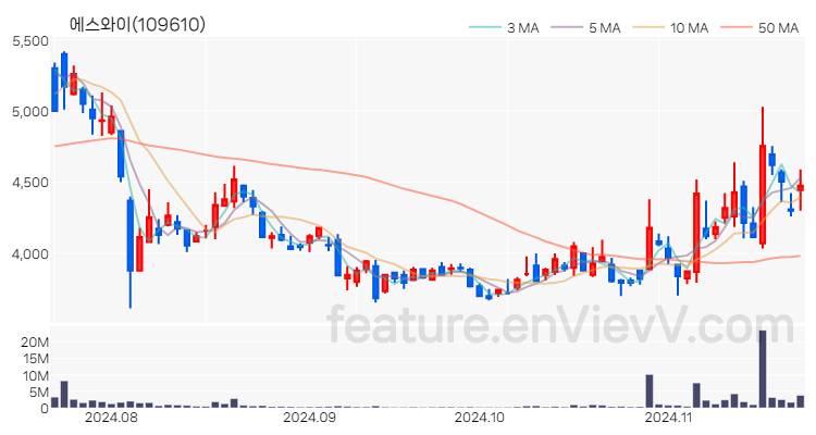 [특징주] 에스와이 주가와 차트 분석 2024.11.21