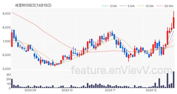 [특징주] 세경하이테크 주가와 차트 분석 2024.12.17