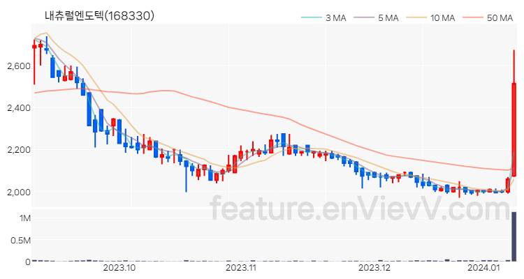 [특징주 분석] 내츄럴엔도텍 주가 차트 (2024.01.09)