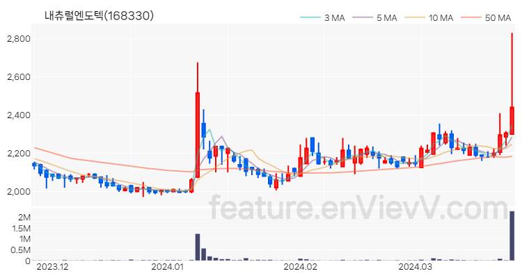 [특징주] 내츄럴엔도텍 주가와 차트 분석 2024.03.26