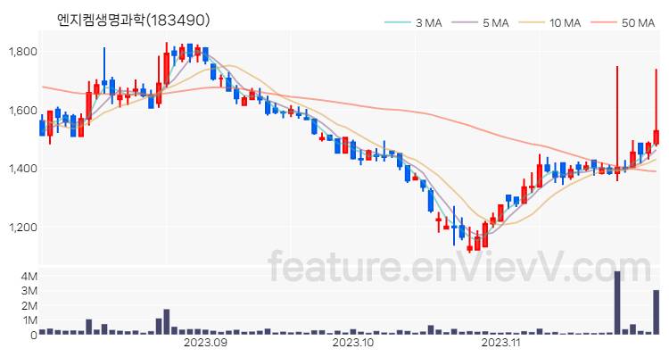 [특징주 분석] 엔지켐생명과학 주가 차트 (2023.11.29)