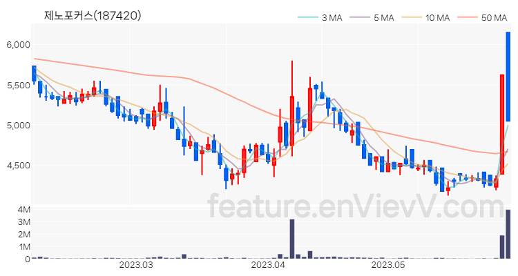[특징주 분석] 제노포커스 주가 차트 (2023.06.01)
