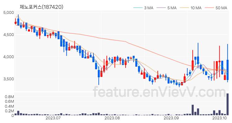 [특징주 분석] 제노포커스 주가 차트 (2023.10.10)
