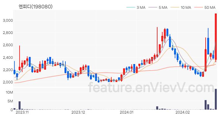 [특징주 분석] 엔피디 주가 차트 (2024.02.22)