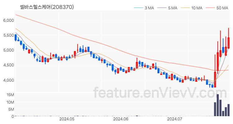 [특징주 분석] 셀바스헬스케어 주가 차트 (2024.07.30)