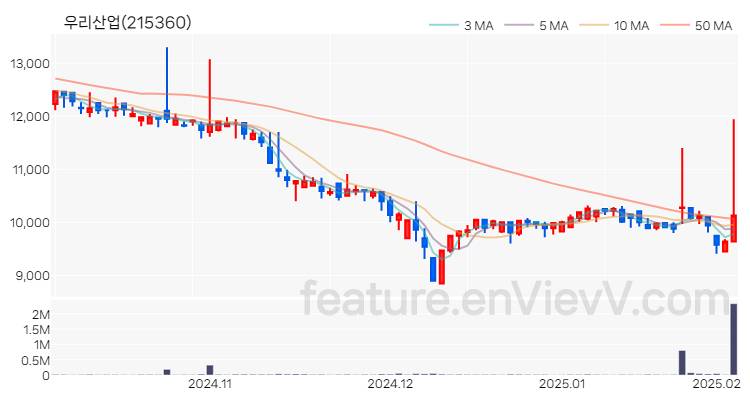 [특징주] 우리산업 주가와 차트 분석 2025.02.05